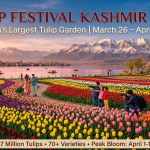 Tulip Festival Kashmir 2026