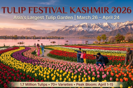 Tulip Festival Kashmir 2026