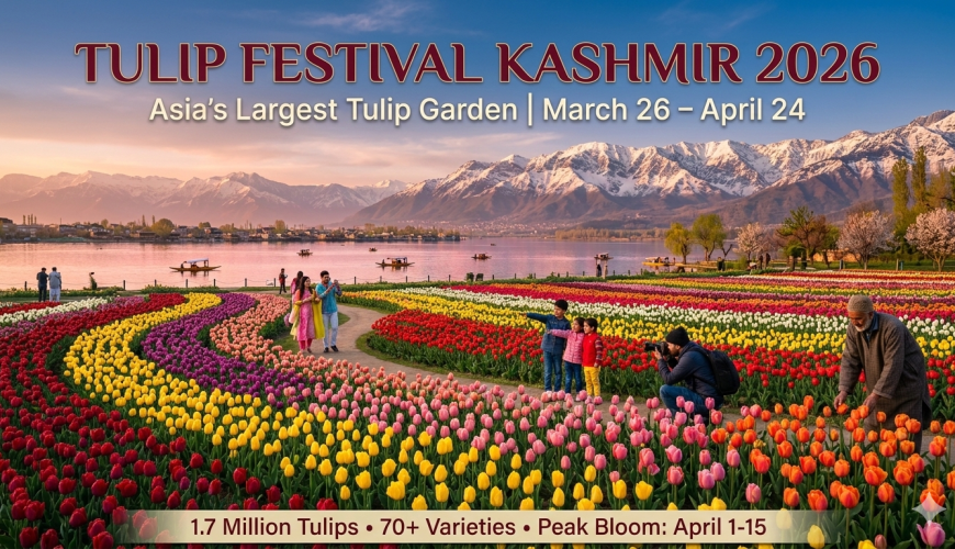 Tulip Festival Kashmir 2026