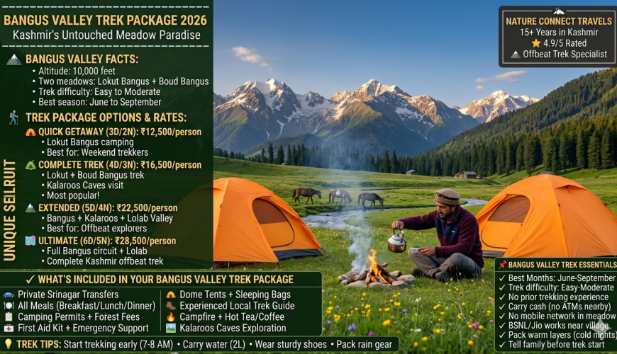 Bangus Valley trek package 2026 - camping in Lokut Bangus meadow with orange dome tents, Kashmiri guide pouring tea, wild horses grazing, snow capped peaks in background, quick getaway 3 days ₹12,500, complete trek 4 days ₹16,500, extended 5 days ₹22,500, ultimate 6 days ₹28,500 per person