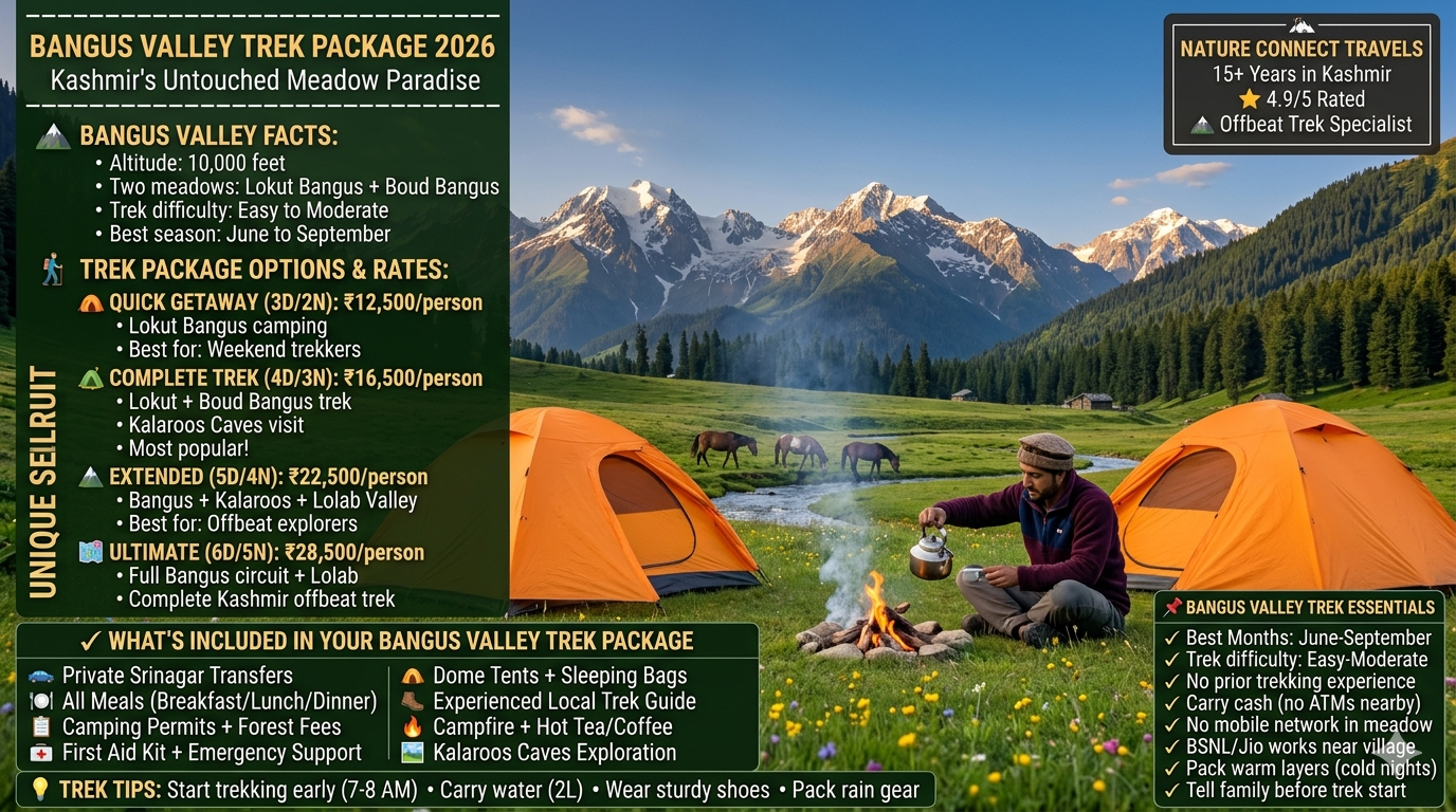 Bangus Valley trek package 2026 - camping in Lokut Bangus meadow with orange dome tents, Kashmiri guide pouring tea, wild horses grazing, snow capped peaks in background, quick getaway 3 days ₹12,500, complete trek 4 days ₹16,500, extended 5 days ₹22,500, ultimate 6 days ₹28,500 per person