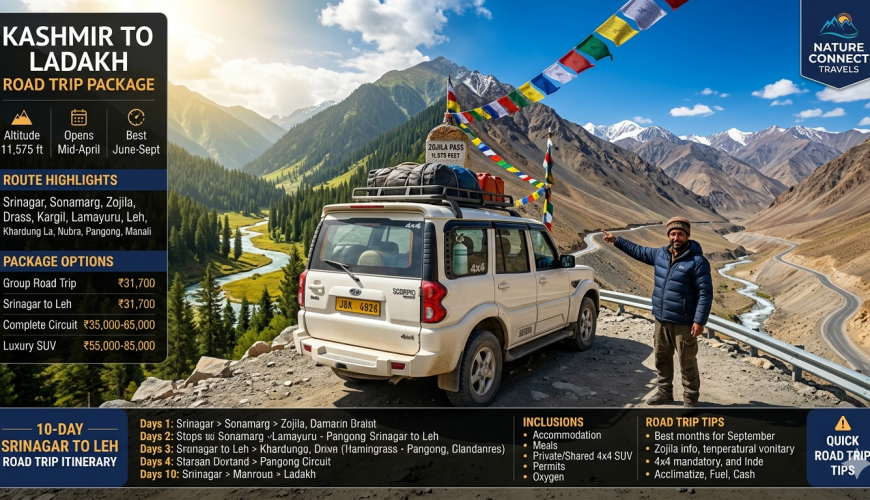 Kashmir to Ladakh road trip package 2026 - white 4x4 SUV at Zojila Pass 11575 feet with Kashmiri driver pointing to winding road, transition from green Kashmir valley to barren Ladakh mountains, prayer flags, group road trip 10 days ₹31,700 per person, Srinagar to Leh ₹31,700, complete circuit 13 days ₹35,000-65,000, luxury SUV 12-14 days ₹55,000-85,000, 12-day SUV circuit from ₹38,000-77,500 per person based on group size