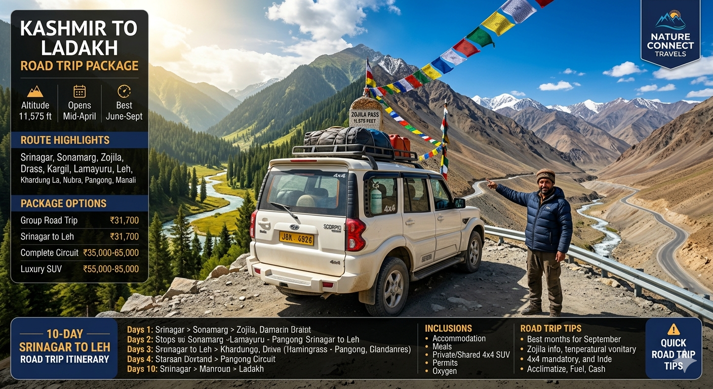 Kashmir to Ladakh road trip package 2026 - white 4x4 SUV at Zojila Pass 11575 feet with Kashmiri driver pointing to winding road, transition from green Kashmir valley to barren Ladakh mountains, prayer flags, group road trip 10 days ₹31,700 per person, Srinagar to Leh ₹31,700, complete circuit 13 days ₹35,000-65,000, luxury SUV 12-14 days ₹55,000-85,000, 12-day SUV circuit from ₹38,000-77,500 per person based on group size