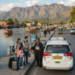 Srinagar local taxi service 2026 - Innova Crysta on Dal Lake Boulevard with professional driver