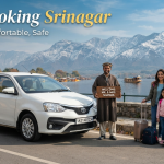 Cab booking Srinagar - professional driver with clean sedan at scenic Dal Lake location Nature Connect Travels