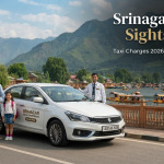 Srinagar local sightseeing taxi charges - clean sedan with driver ready for city tour at scenic location Nature Connect Travels