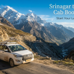 Srinagar to Ladakh cab booking - SUV driving through the Himalayan landscape with Nature Connect Travels
