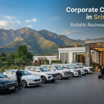 Corporate cab service in Srinagar - professional fleet for business travel with Nature Connect Travels