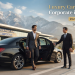 Luxury car rental for corporate in Srinagar - professional chauffeur with Mercedes sedan at Srinagar airport for executive travel