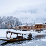 Kashmir package in January by Nature Connect Travels showing snow-covered Dal Lake houseboats and Shikara