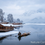 Kashmir packages in December by Nature Connect Travels showing snow-covered Dal Lake houseboats and Shikara