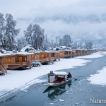 Kashmir snowfall package by Nature Connect Travels showing snow-covered Dal Lake houseboats and Shikara