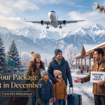 Kashmir tour package with flight in December - airplane descending to Srinagar airport with snow mountains and family arrival