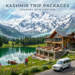 Kashmir trip packages by Nature Connect Travels showing Dal Lake houseboat with Shikara and Pir Panjal mountains