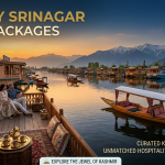 Luxury Srinagar tour packages by Nature Connect Travels showing deluxe houseboat on Dal Lake with private shikara